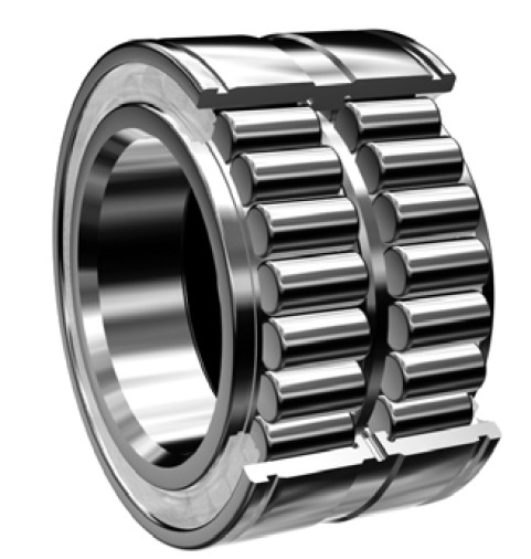 Double Row Full Complement Cylindrical Roller Bearings with snap groove on the outer ring and double seals