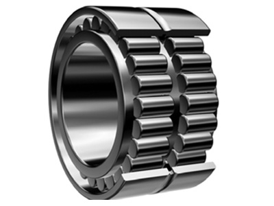 Double Row Full Complement Cylindrical Roller Bearings （Floating Type）