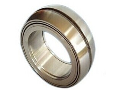 Spherical Double Row Full Complement Rolle Bearings(positioning type)