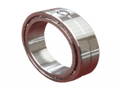 Single Row Full Complement Cylindrical Roller Bearings with Disc Cage